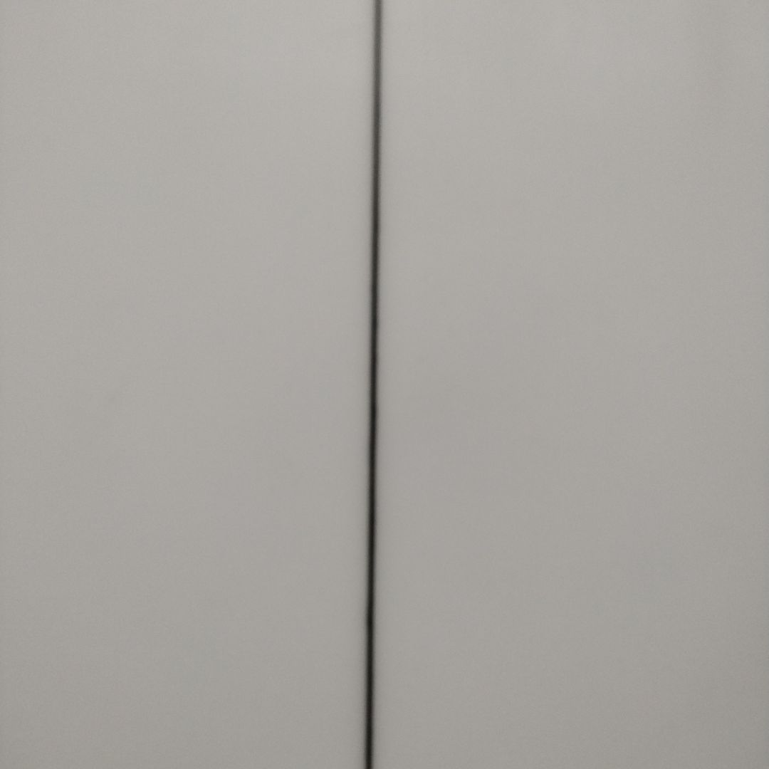 パイゼルサーフボード Red Tiger 5'10 手渡値引有り ハードケース付