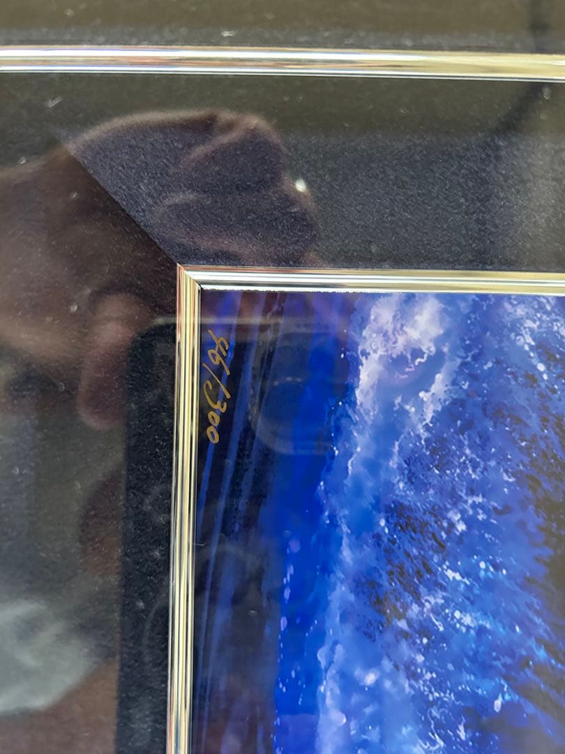 マジェスティックサーガ(L) 限定版 46/300