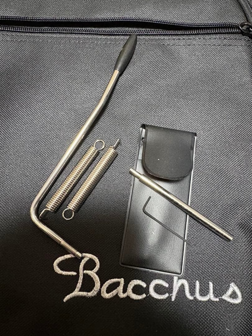 ギター Bacchus G-STUDIO Handmade Series BLK OIL