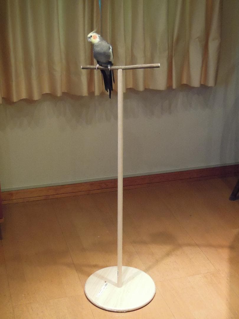 天然木 鳥さん用 高い 止まり木 スタンド 高さ94センチ