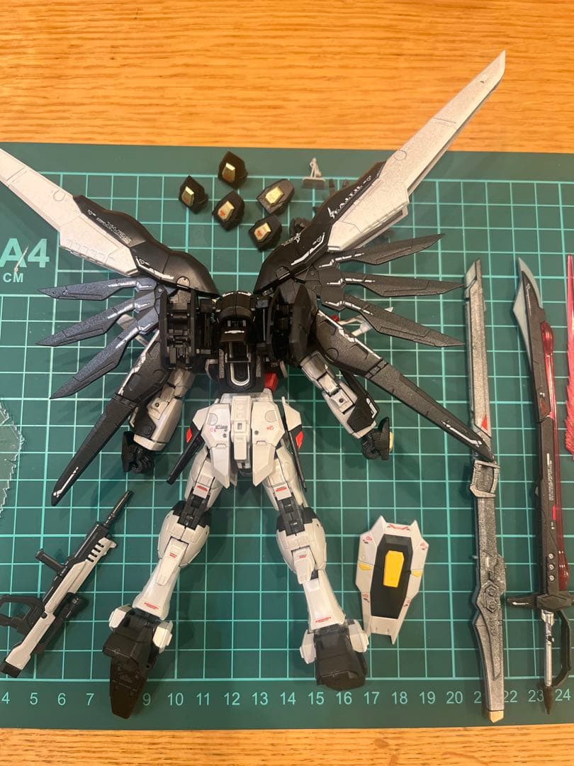 RG デスティニーガンダム全塗装完成品
