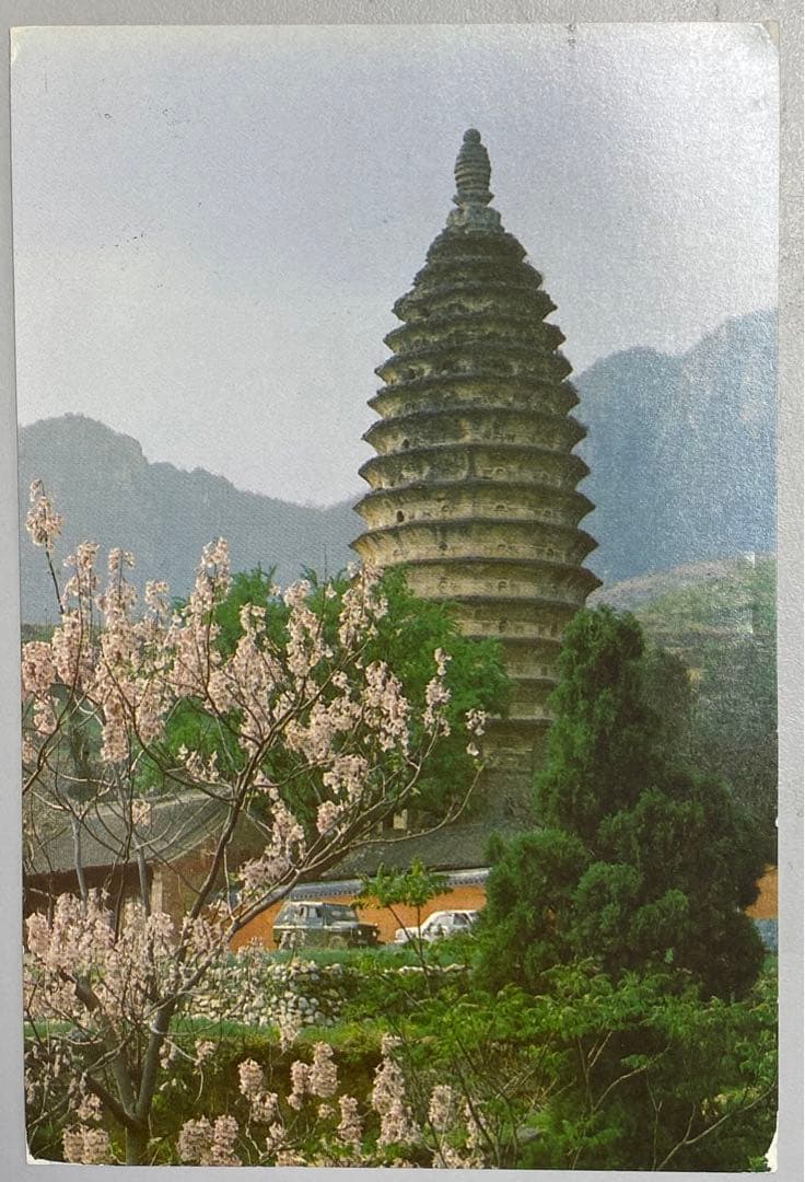 中国切手赤猿T-46 希少ハガキ