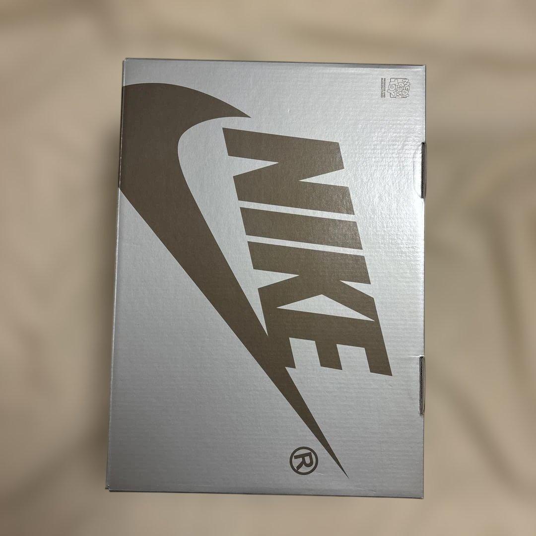 MEDICOM TOY×NIKE SB GINO IANNUCCIフィギュア限定