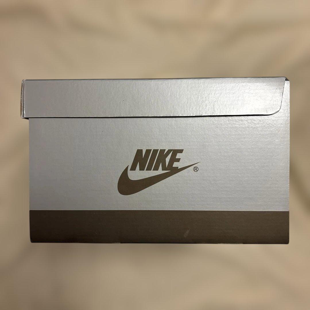 MEDICOM TOY×NIKE SB GINO IANNUCCIフィギュア限定