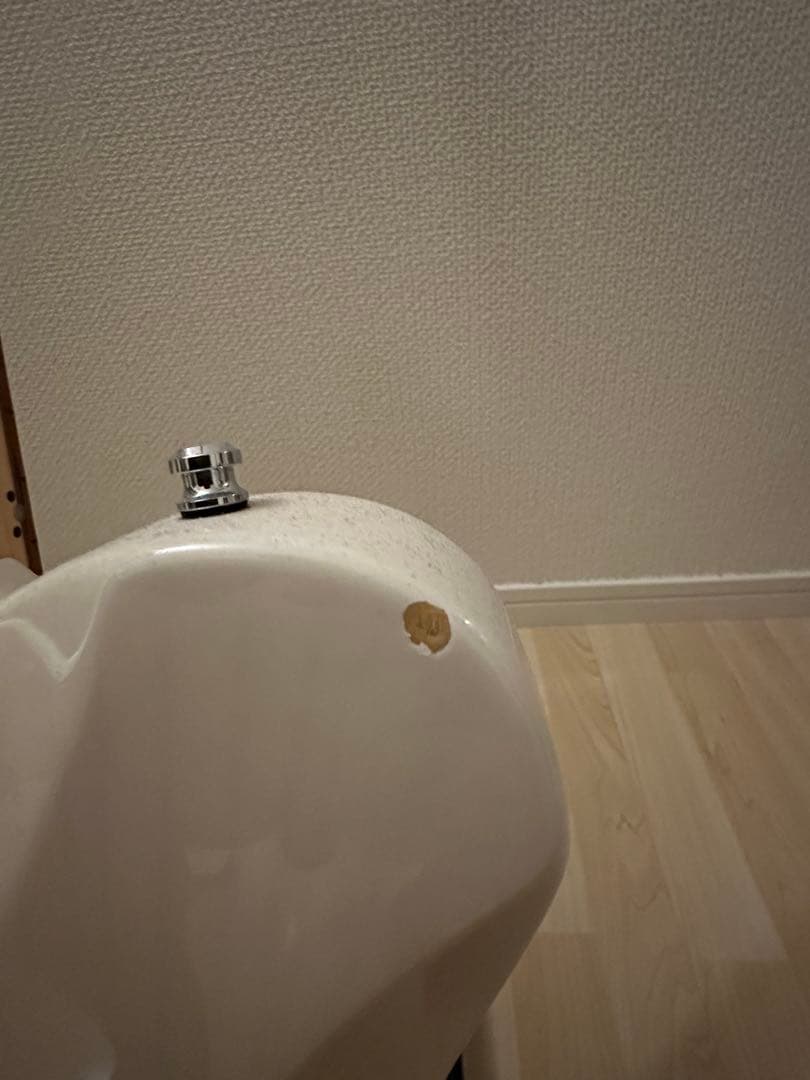 SCHECTER PA-LS-TK 凛として時雨　TKモデル