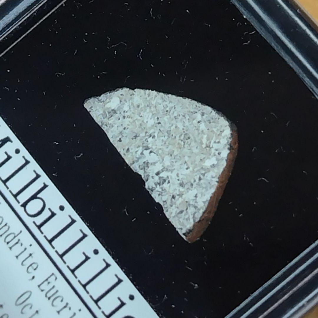 ✨見る！?ミルビリリー隕石 標本