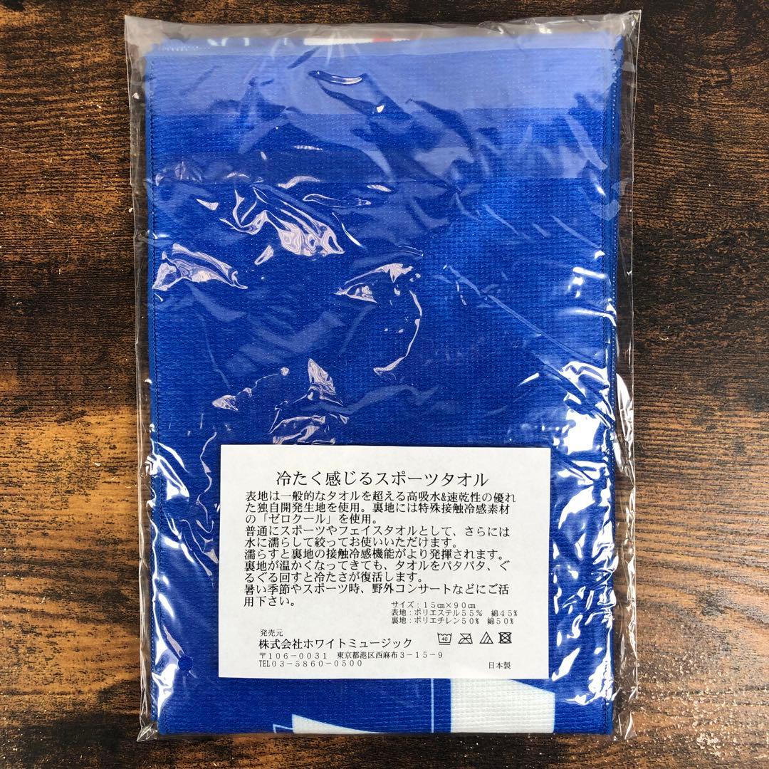 未開封 TUBE RIDERS 2020 35th タオル