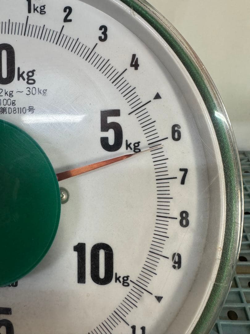 摘果マンゴー 6kg 10~57g