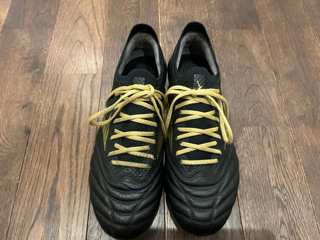 モレリアネオ4 β 24cm