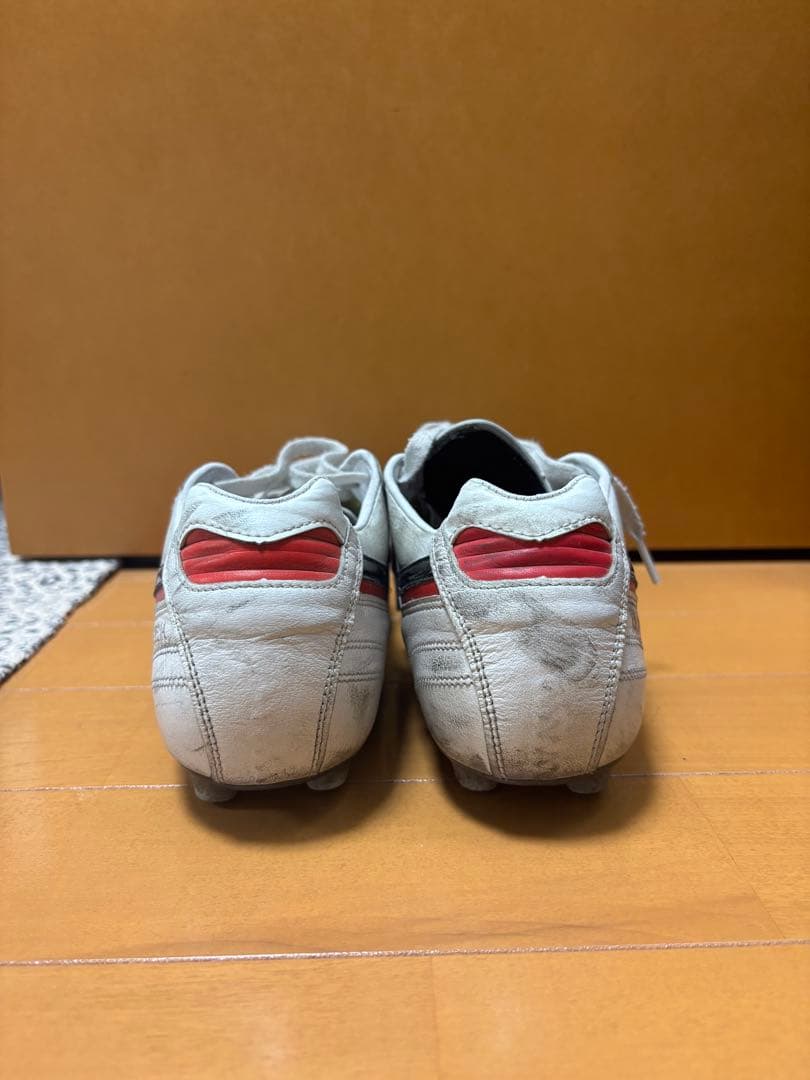 モレリア2　25cm