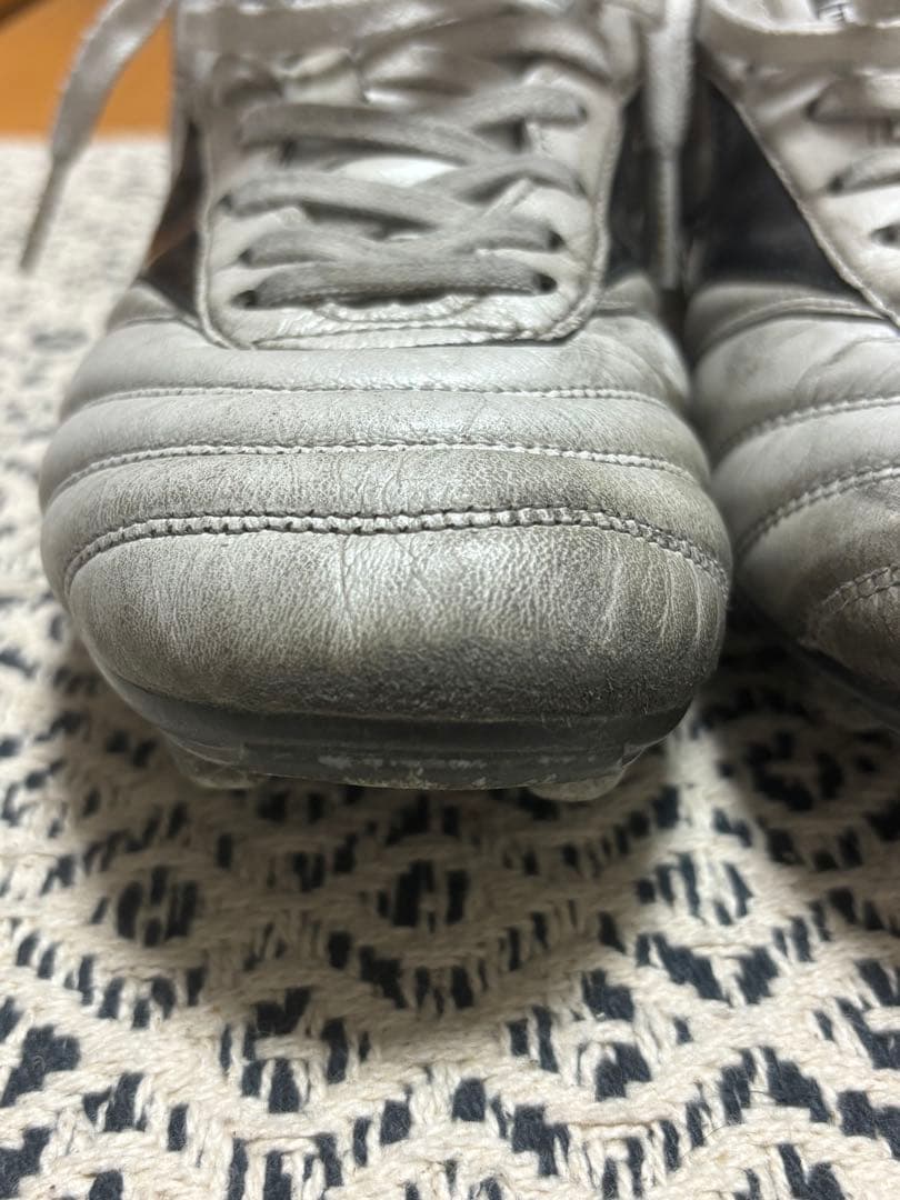 モレリア2　25cm