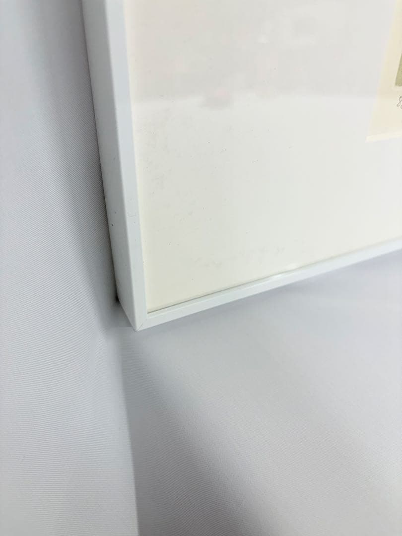 アナピア・アントニーニ　直筆サイン　絵画　リトグラフ　88/99