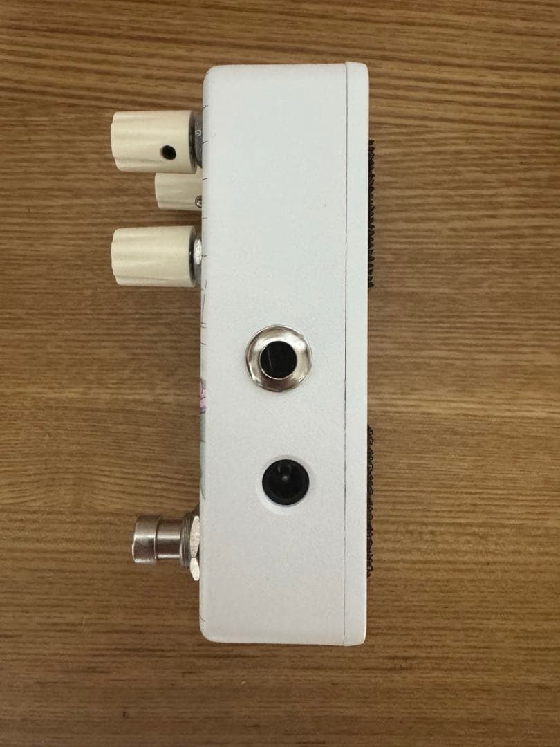 ギター Animals Pedal Custom Illustrated 030