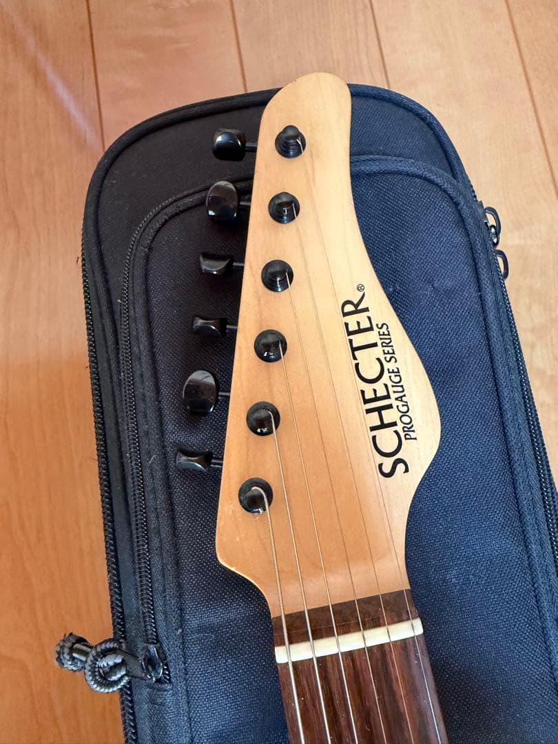 SCHECTER PROGAUGE PS-S-PT ロック式ペッグ交換済み品