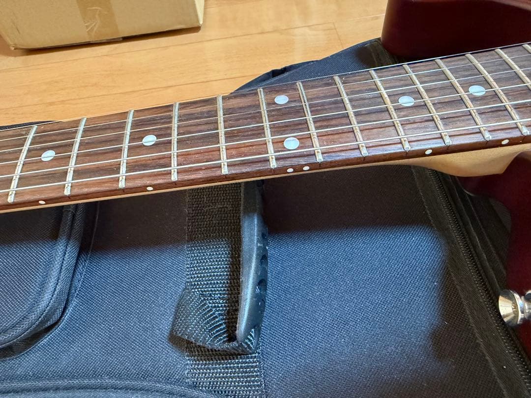 SCHECTER PROGAUGE PS-S-PT ロック式ペッグ交換済み品