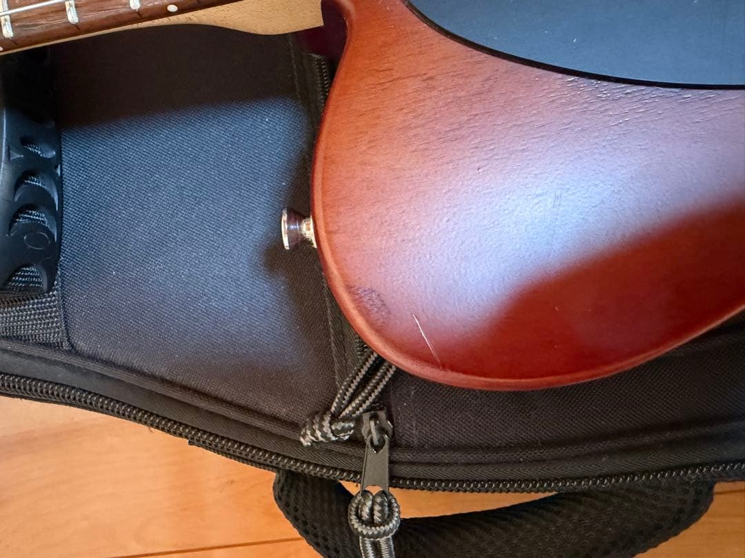 SCHECTER PROGAUGE PS-S-PT ロック式ペッグ交換済み品