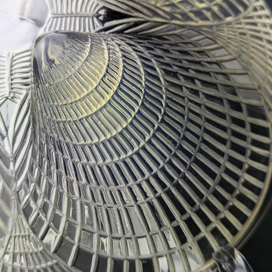 【光の表情】1924年ルネ・ラリック コキーユ 19㎝大鉢オパルセントアールデコ