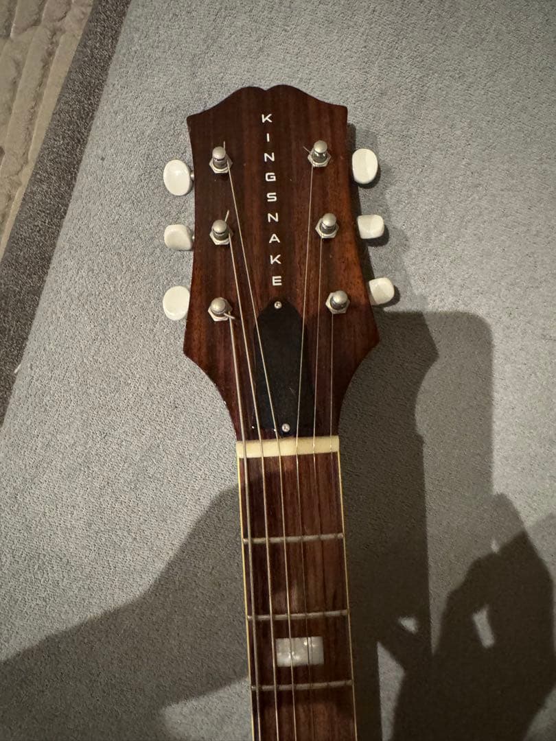 ギター KING SNAKE Detroit One