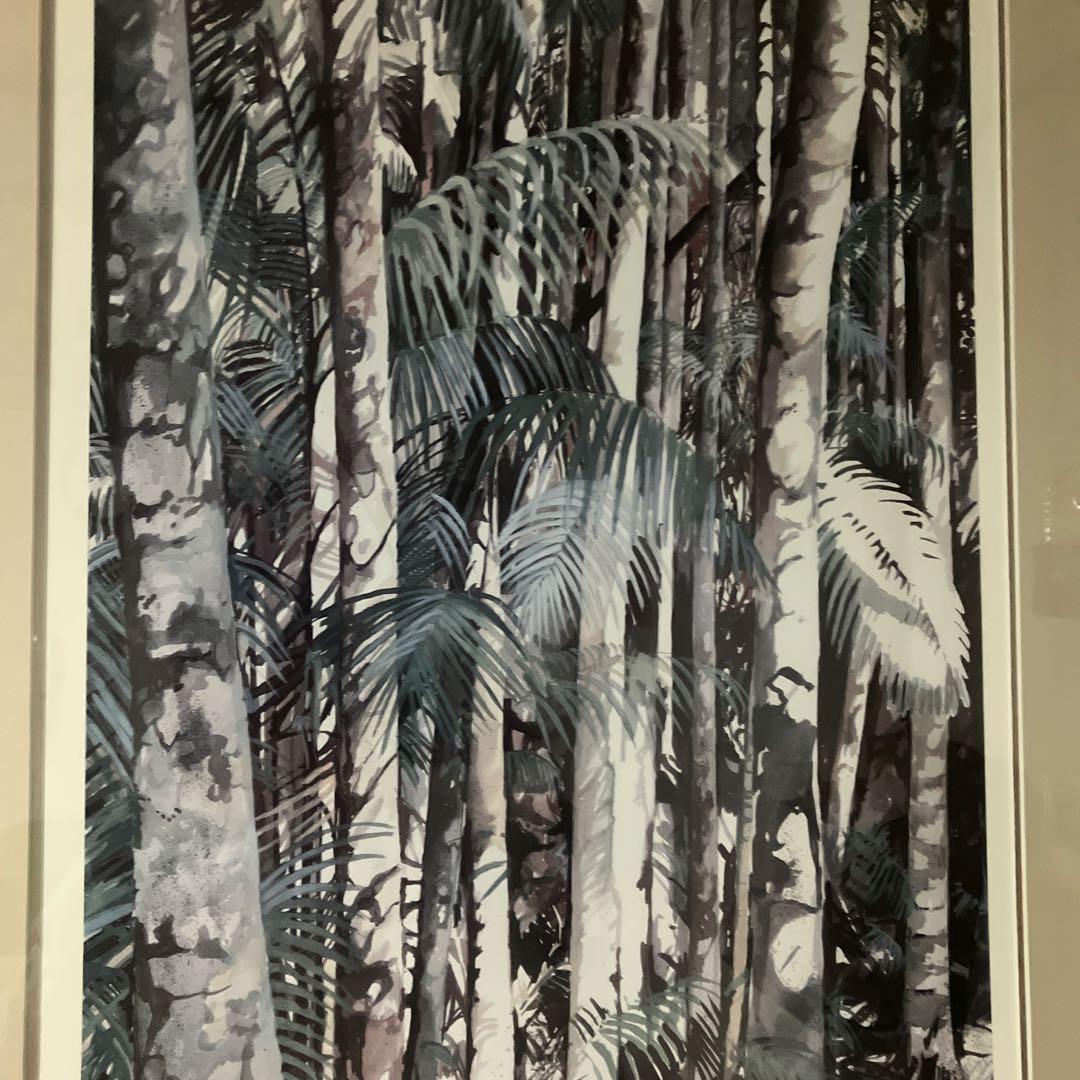 Miread M. Platt 水彩画 ジャングル植物