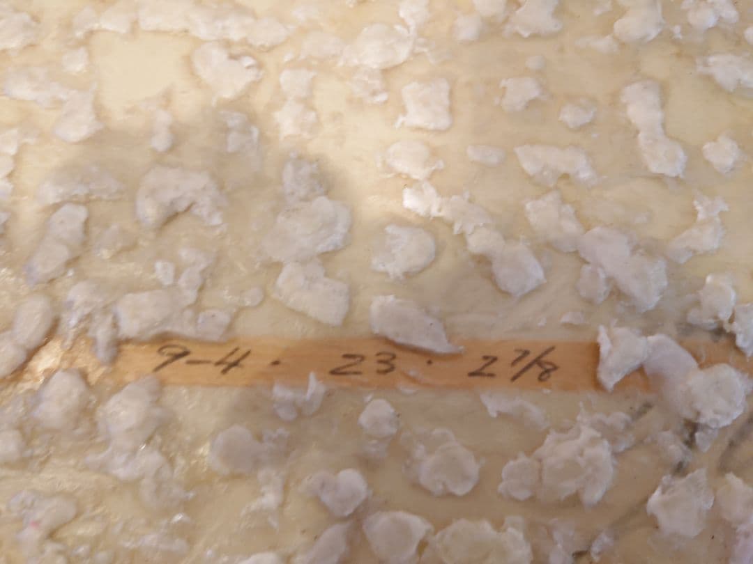 yuロングボード　長期保管の為、格安スタート