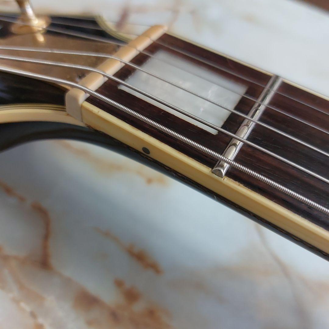 Epiphone Lucille 難あり