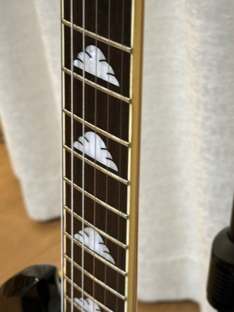 Fernandes BURNY MG-80X （MG-120X）BLK