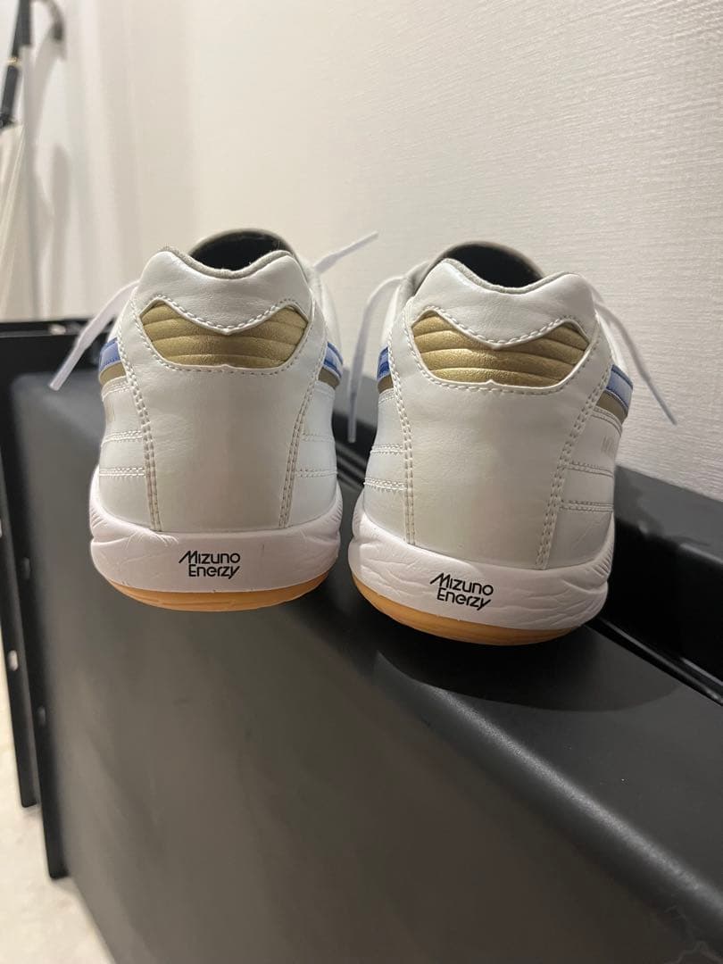 モレリア　サラ　ジャパン　イン　MIZUNO ENERZY 27.0cm