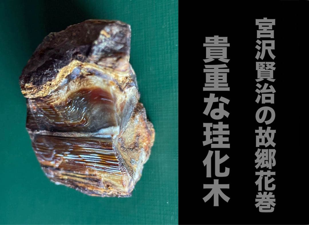 珪化木 花巻市 木目クッキリ❗️ 貴重‼️