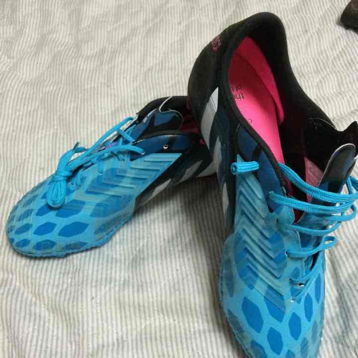 プレデターインスティンクト FG