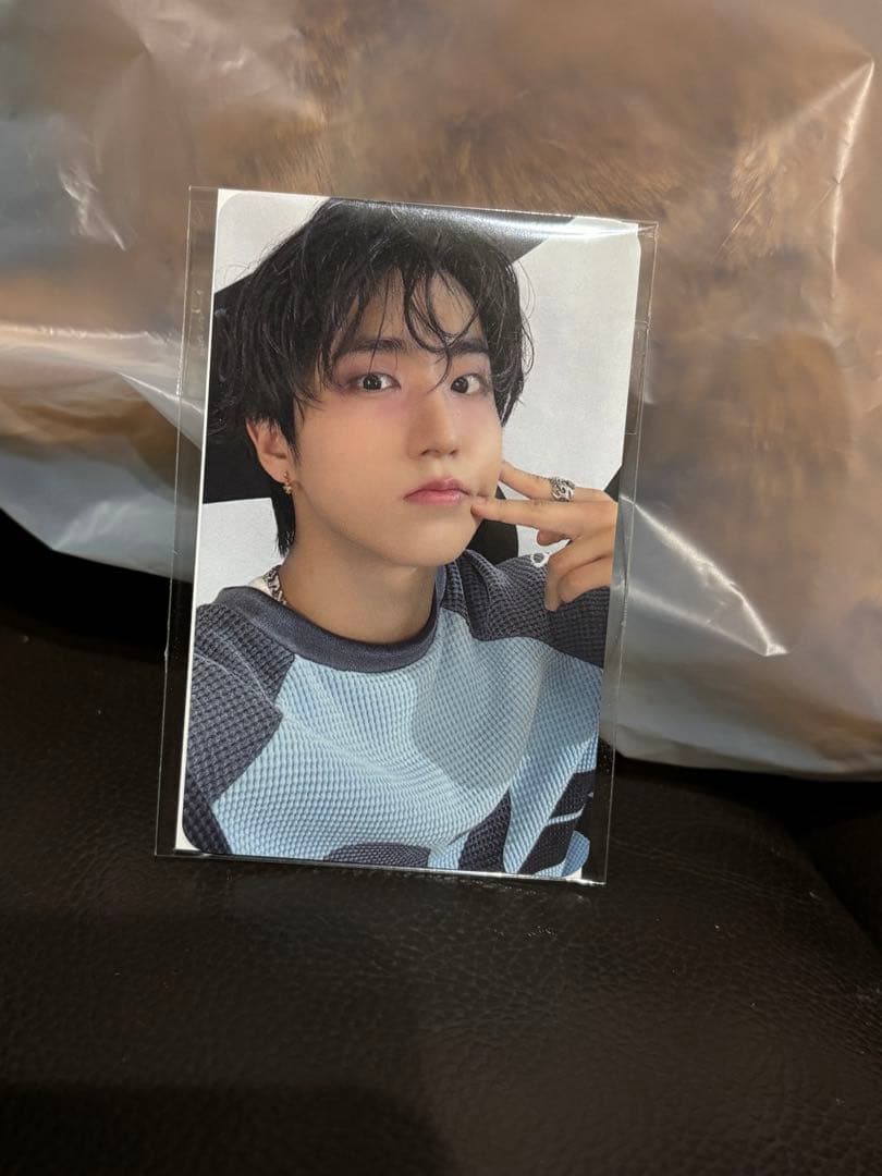 アイドル skzoo plush bag HAN QUOKKA