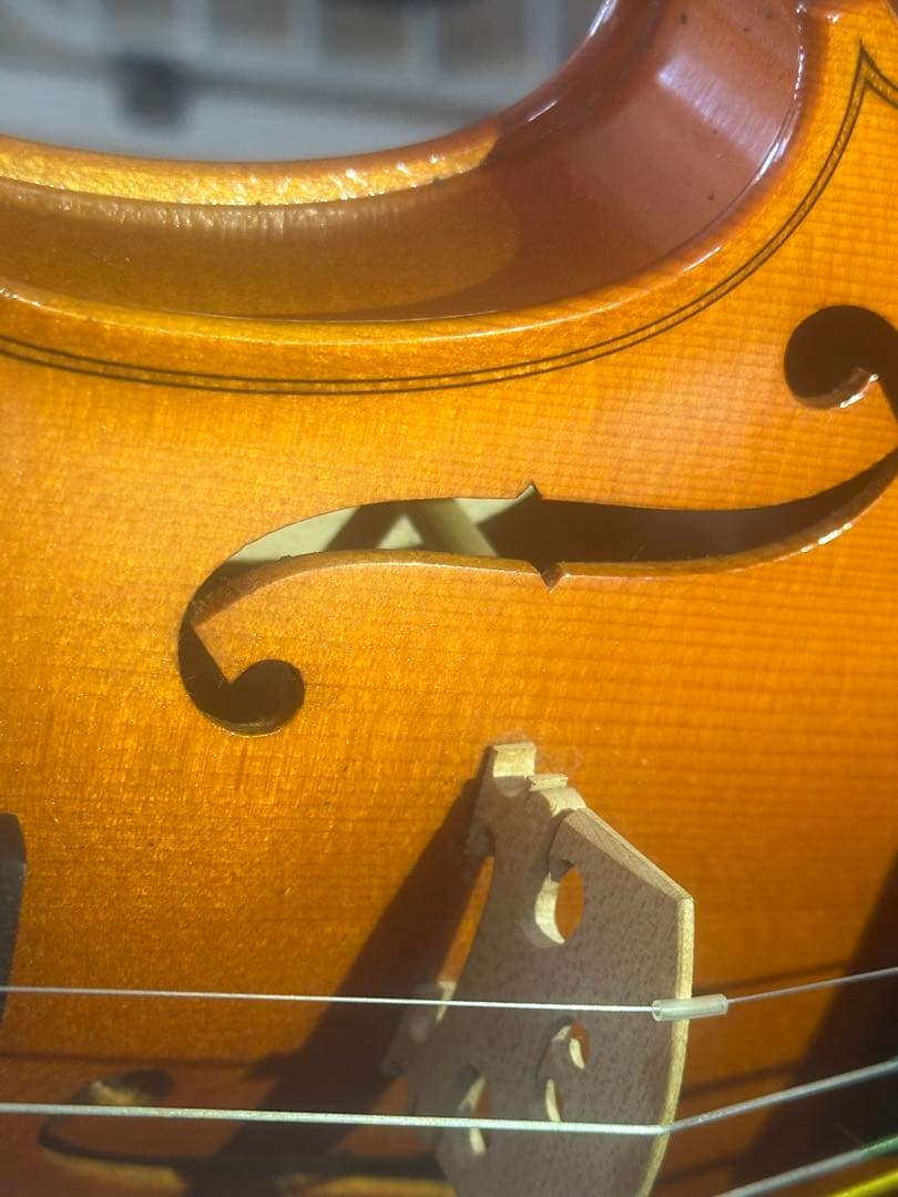 GEWAバイオリンセット 4/3本体 ケース付き