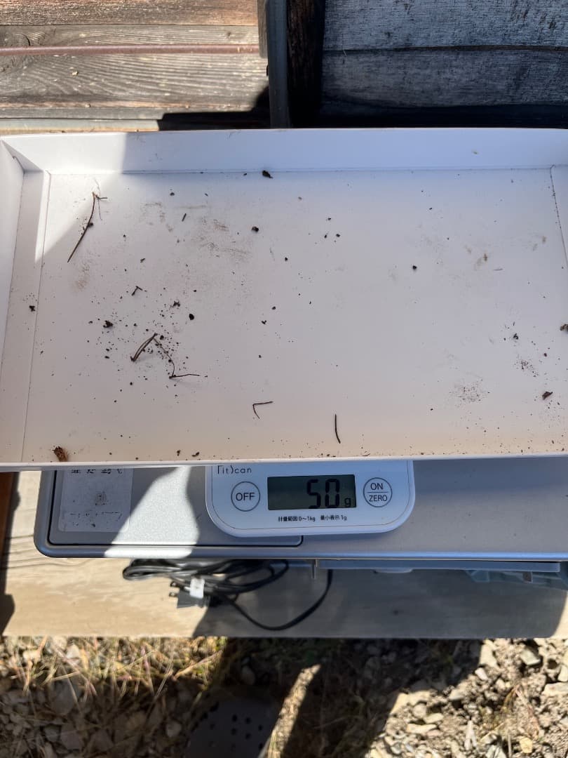 香茸　天然香茸　1386グラム