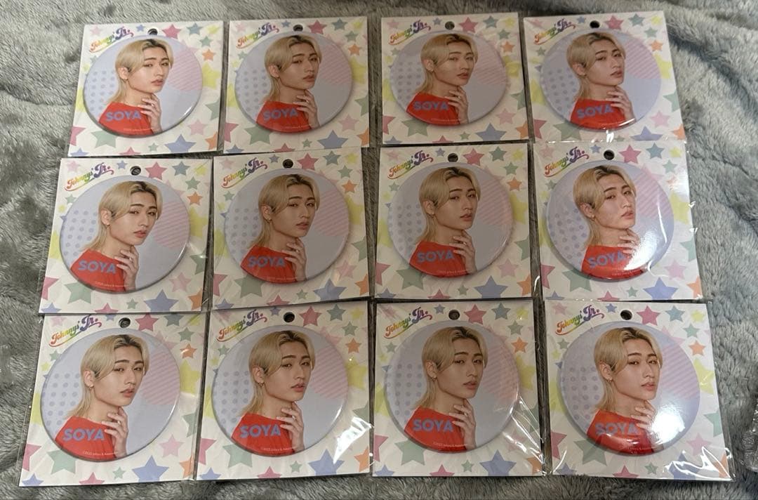 猪狩蒼弥 缶バッジ 40点セット