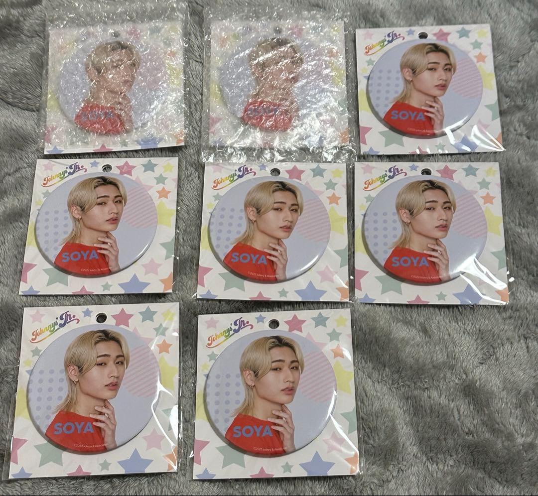 猪狩蒼弥 缶バッジ 40点セット