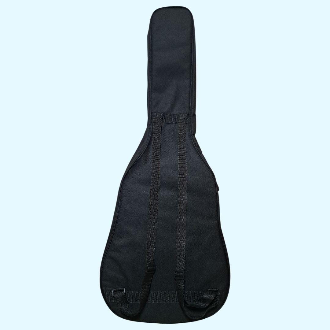 ✨美品✨Elvis 　Master 1　アコースティックギター 　ソフトケース付