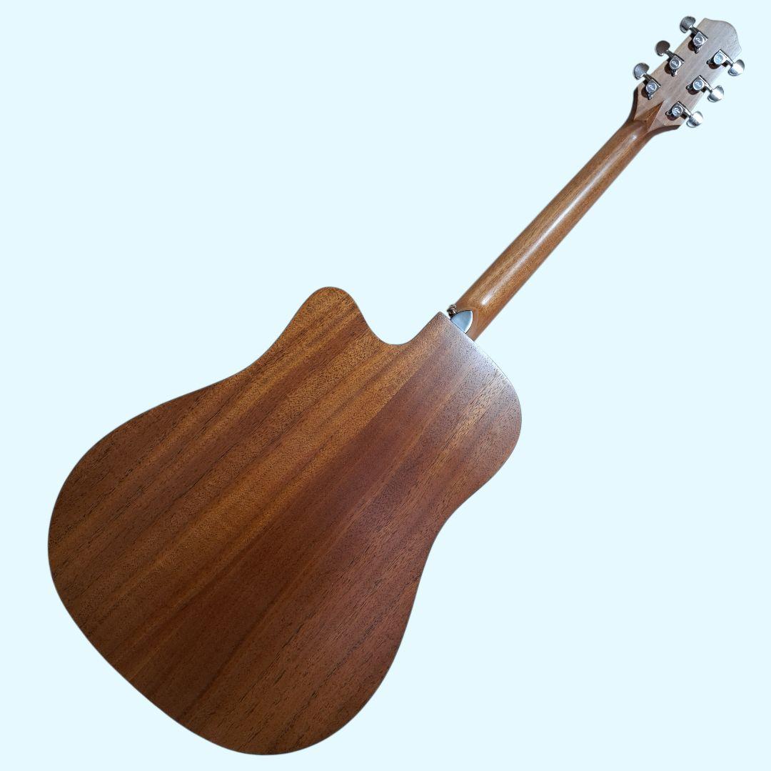 ✨美品✨Elvis 　Master 1　アコースティックギター 　ソフトケース付