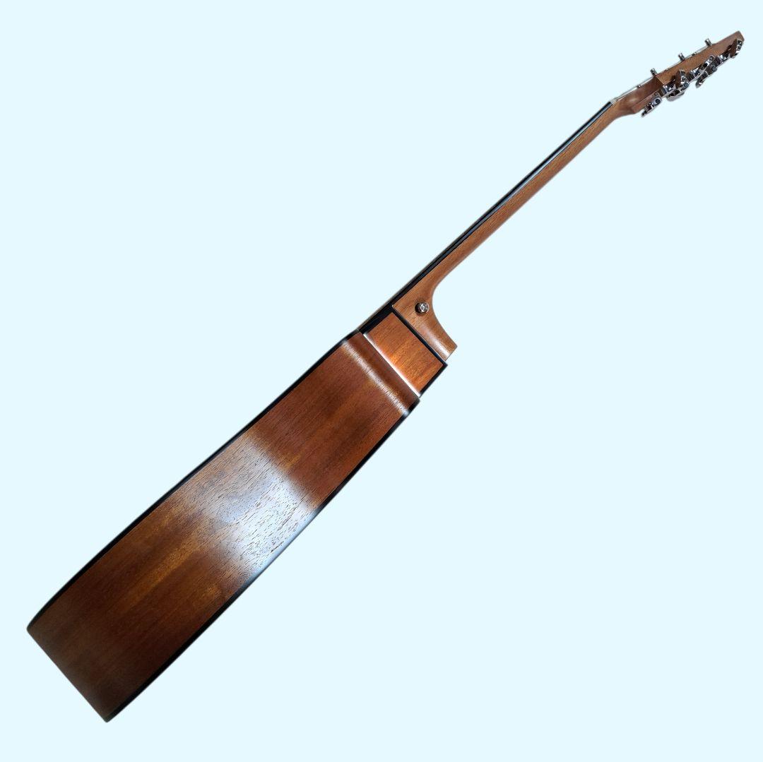 ✨美品✨Elvis 　Master 1　アコースティックギター 　ソフトケース付