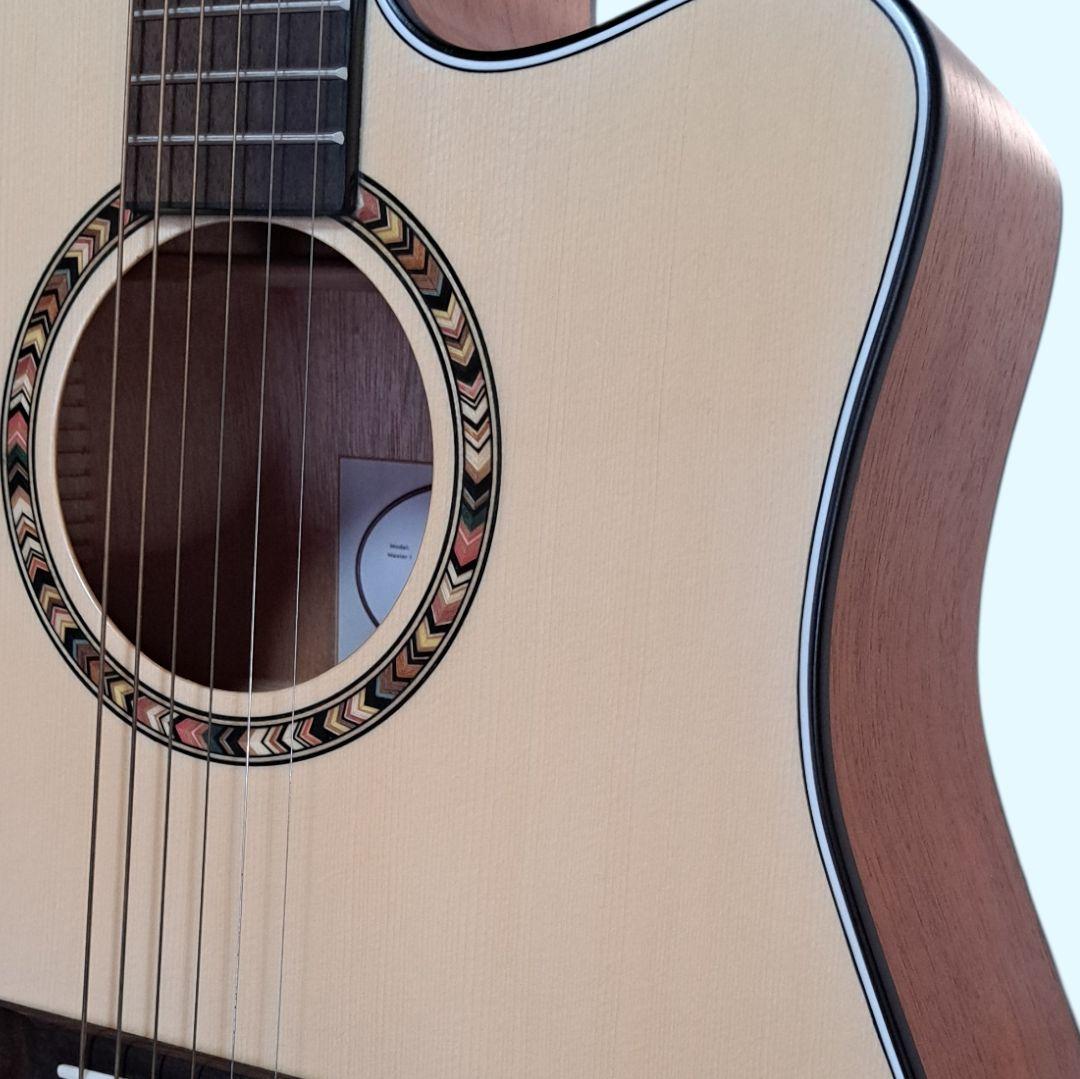 ✨美品✨Elvis 　Master 1　アコースティックギター 　ソフトケース付