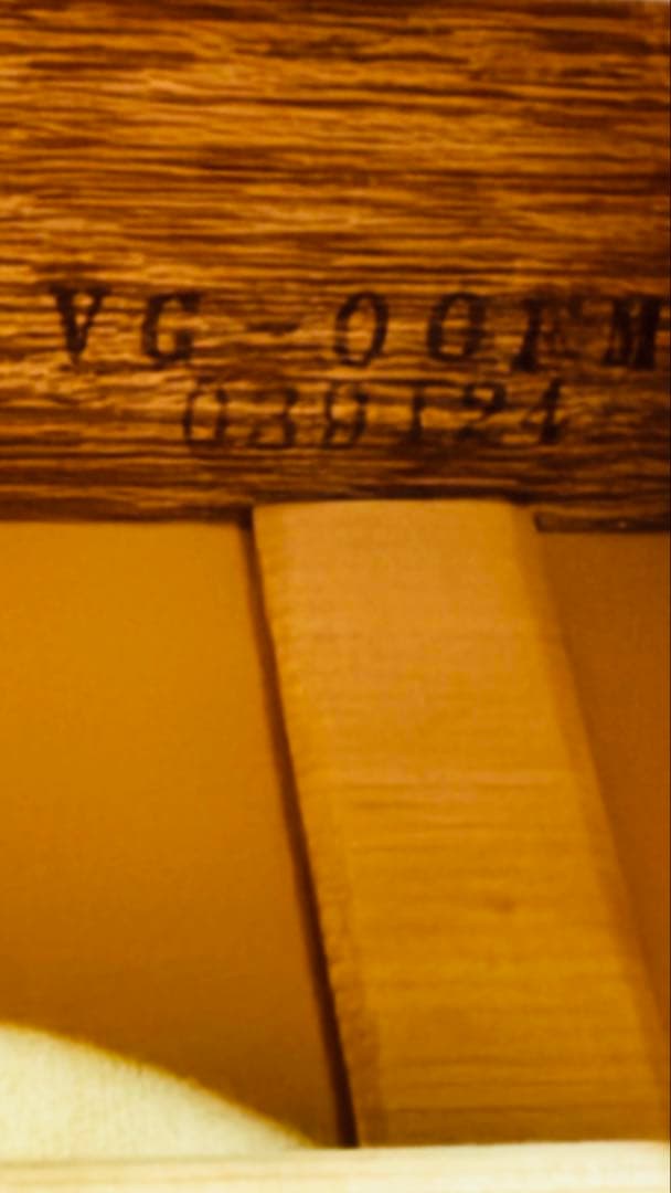 VG 00FM 中古　THE ALFEE坂崎さんモデル