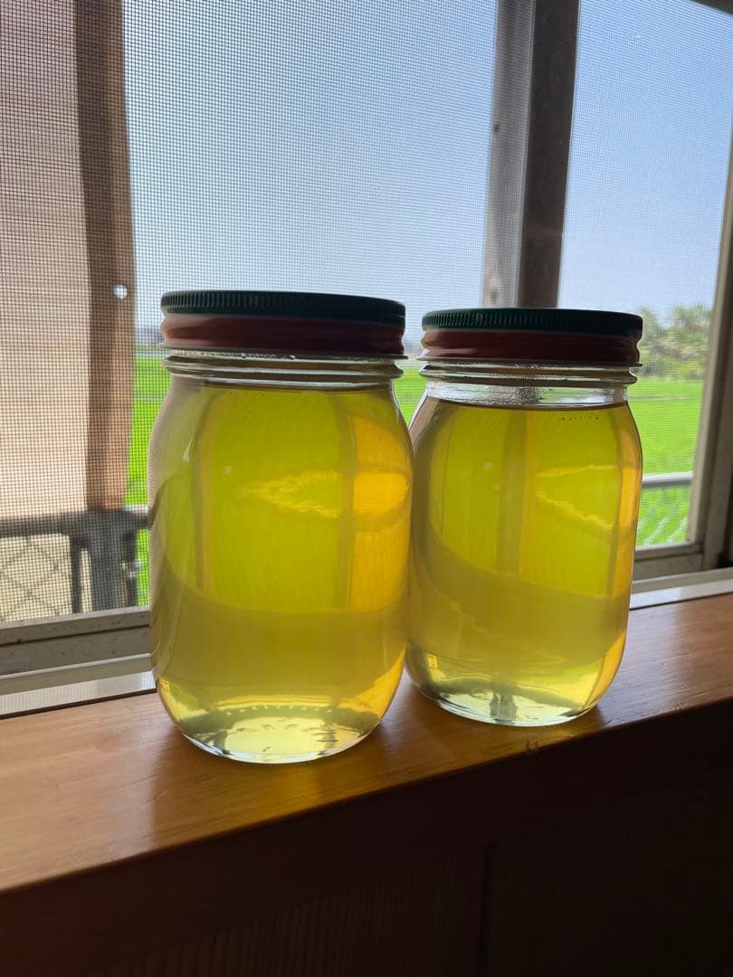 令和７年　100%天然絞りたて生はちみつ　620g✖️2