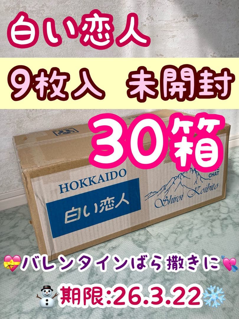 【30箱】石屋製菓　白い恋人　9枚入×30 北海道　期限26.3.22　未開封