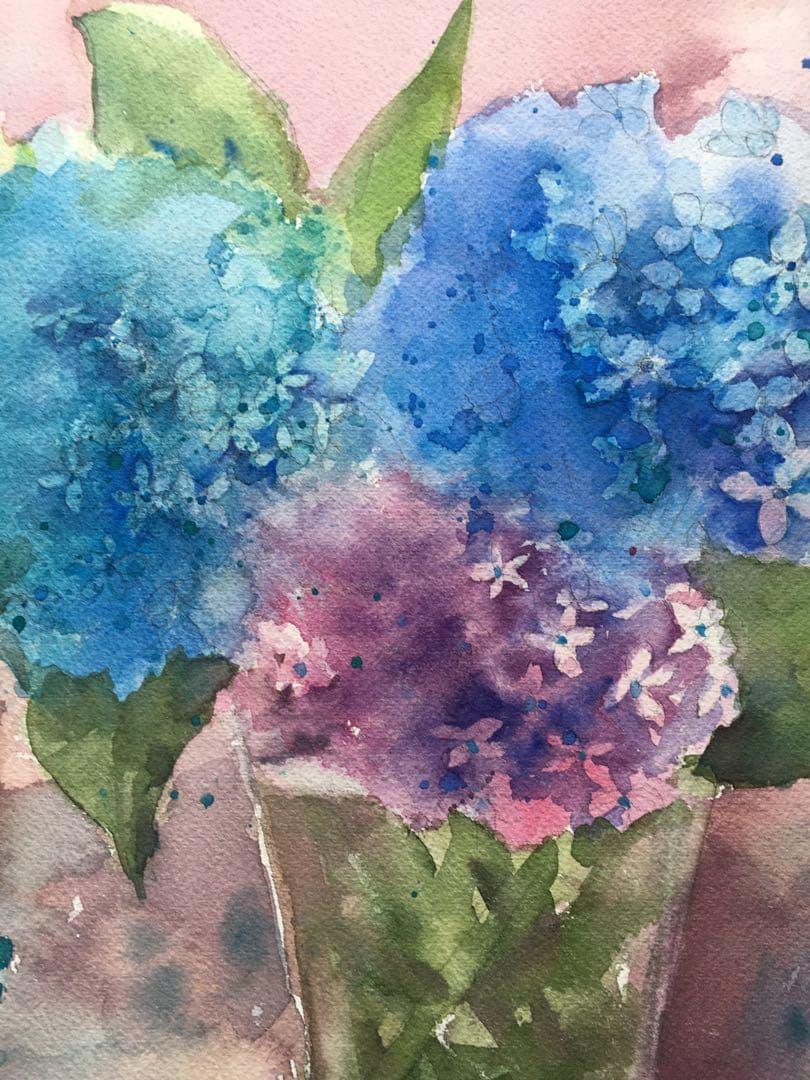 透明水彩原画紫陽花