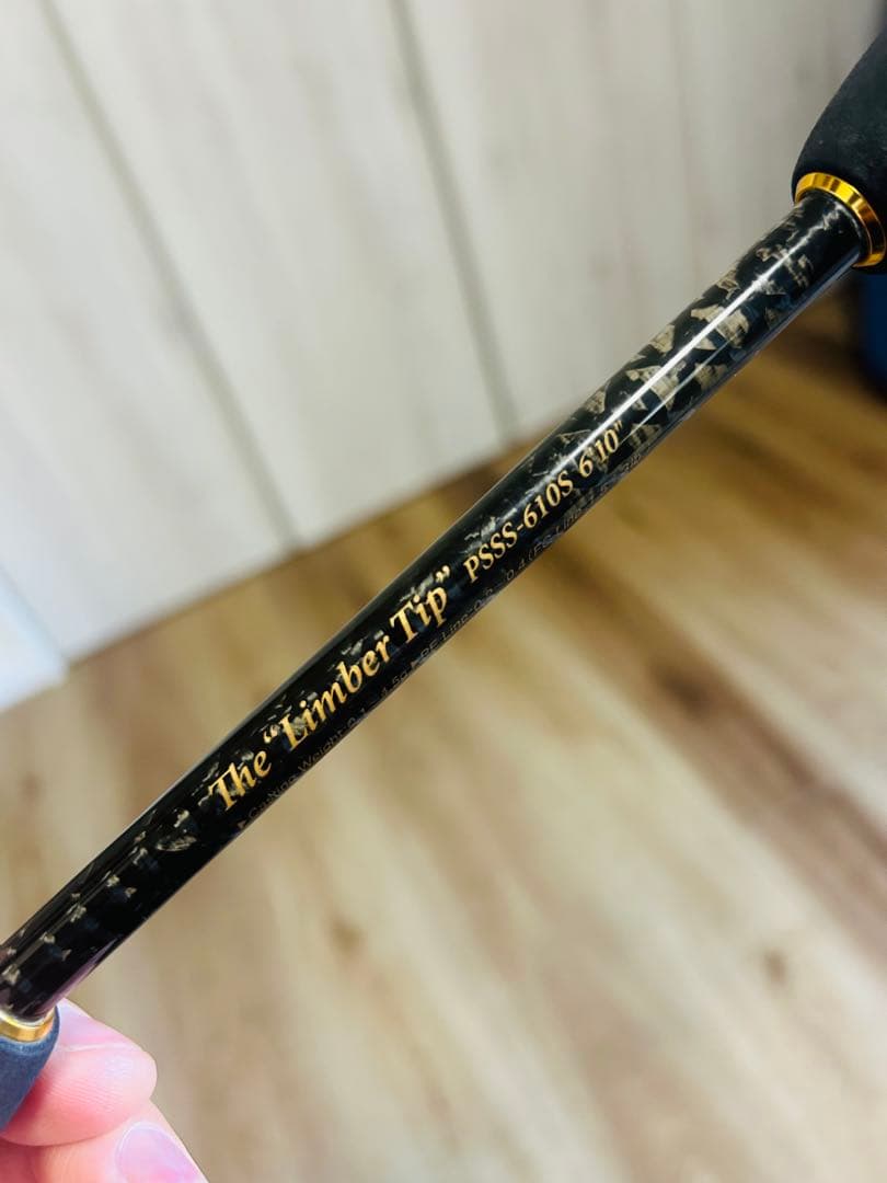 エバーグリーン　ソルティセンセーションPSSS-610リンバーティップ　アジング