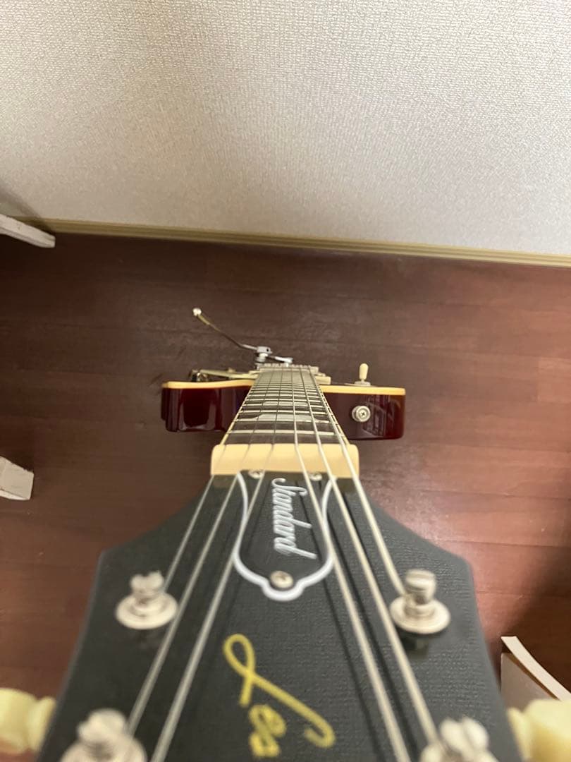 Epiphone Les Paul Standard 50s トレモロアーム付