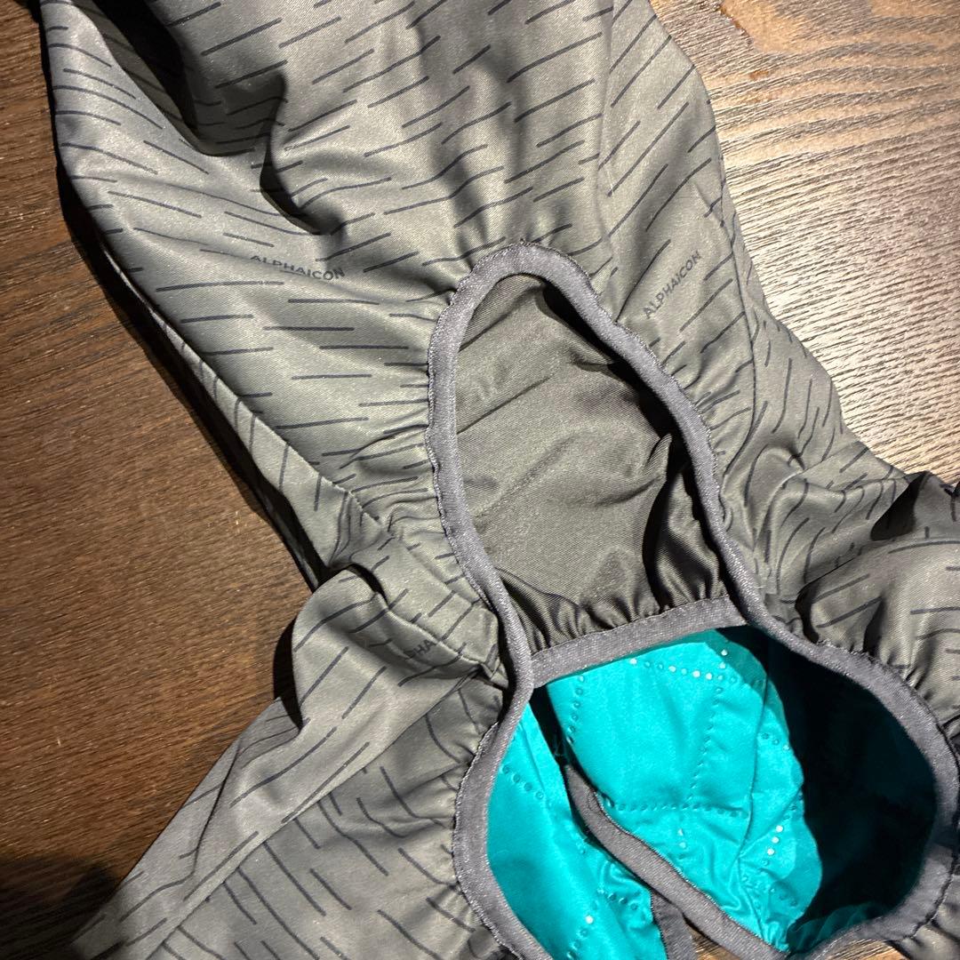 ALPHAICON ドックガードエア1L