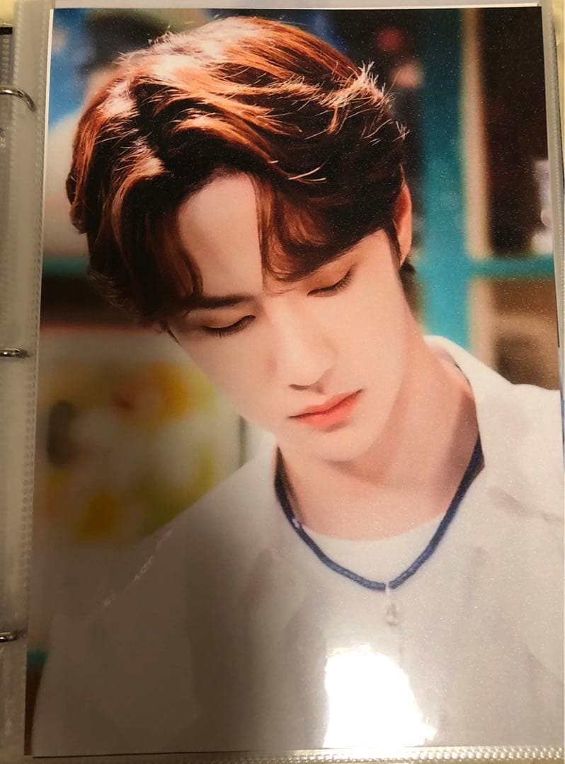 王一博　肖战　バインダー＋A4・Pカード・A5(A6)・トレカリフィル50枚分v