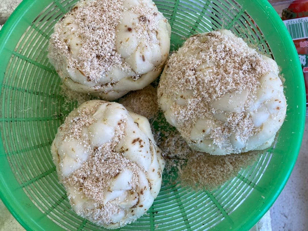 新鮮 ゆり根 ２Lサイズ　33個入り　ゆりね　百合根　北海道産