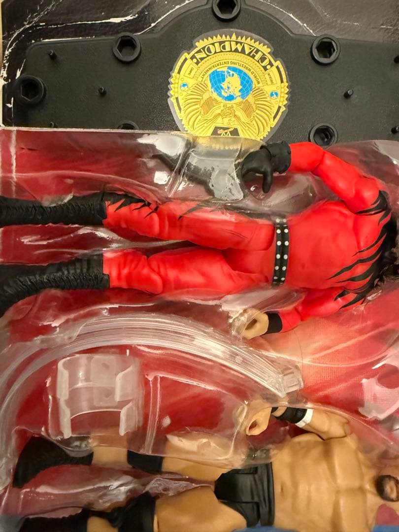 スポーツ WWE Championship Kane & Steve Austin