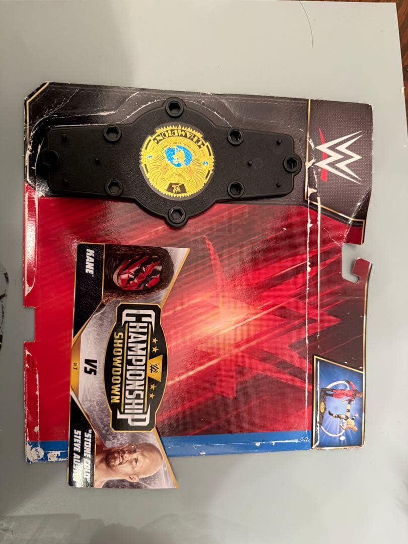 スポーツ WWE Championship Kane & Steve Austin