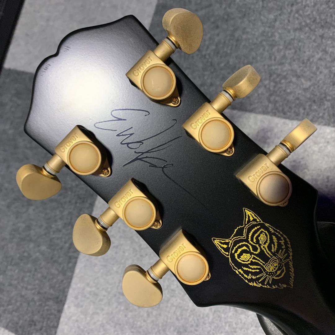 ギター Epiphone Emily Wolfe Sheraton Stealth